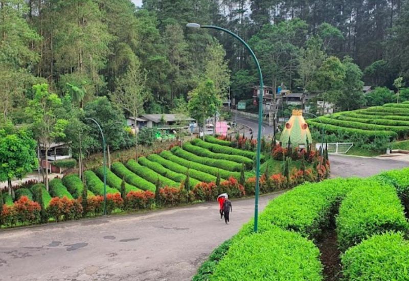 Foto : Asstro Highland Ciater ( Gmap / Fitrahmi Thamrin )