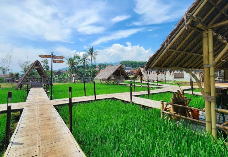 Foto : Dapur Sarumpun ( Gmap /  dhany listianto   )
