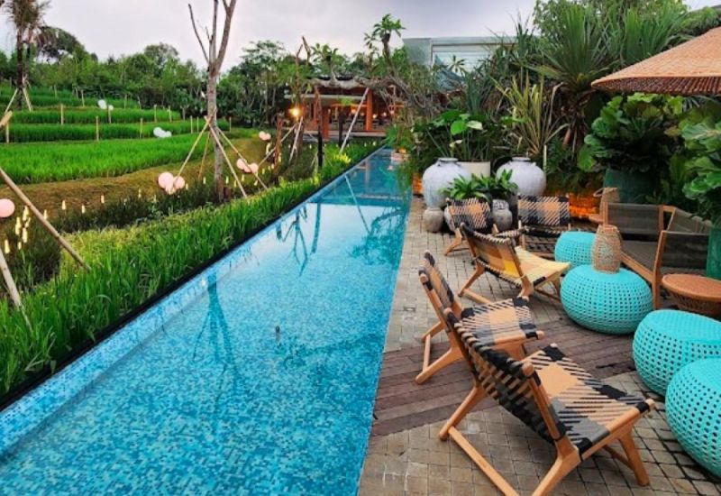 Foto : Padhi Resto ( Gmap / Moses Heryanto - TX TRAVEL Bogor )