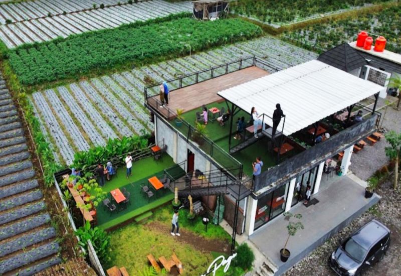 Foto : Senja Pagi Cafe Eatery ( Gmap / Bayu Widyanarko )