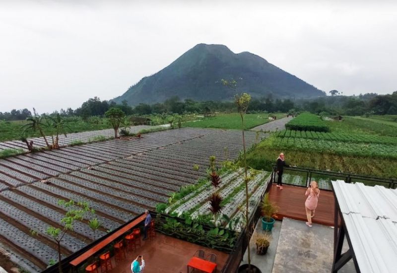 Foto : Senja Pagi Cafe Eatery ( Gmap / Sadewa Outdoor )