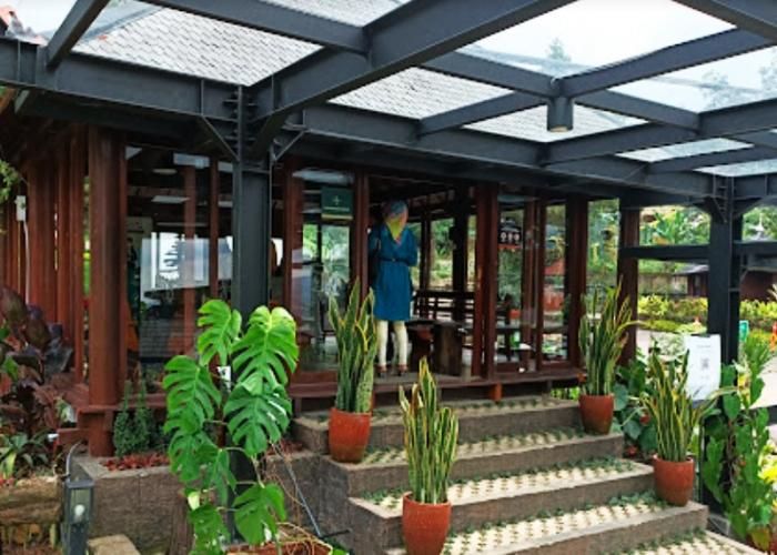 Foto: Damar Langit ( Gmap / Listy )