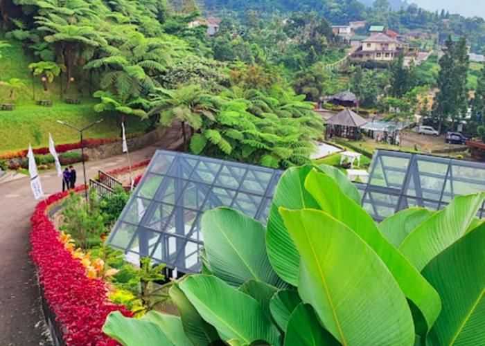 Foto: Damar Langit ( Gmap / edi tsui )