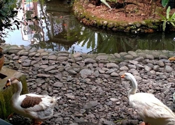 Foto : Dulang Restaurant ( Gmap / Idzma Mahayattika )