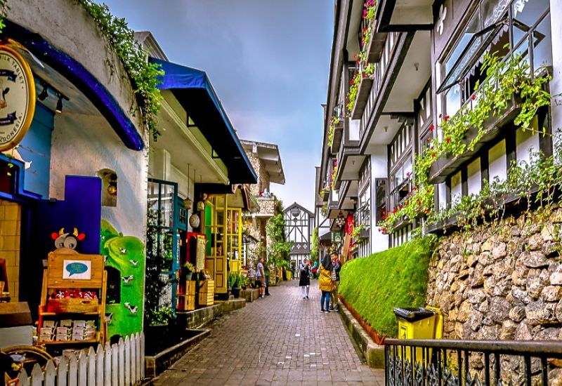 Foto: Farm House Susu Lembang ( Gmap/ cep budhi darma )