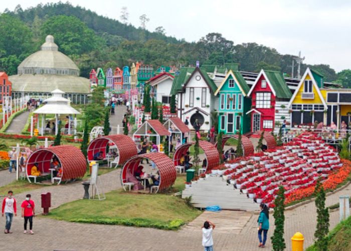 Foto: flora wisata san terra ( Gmap/ Arbain Asyari)