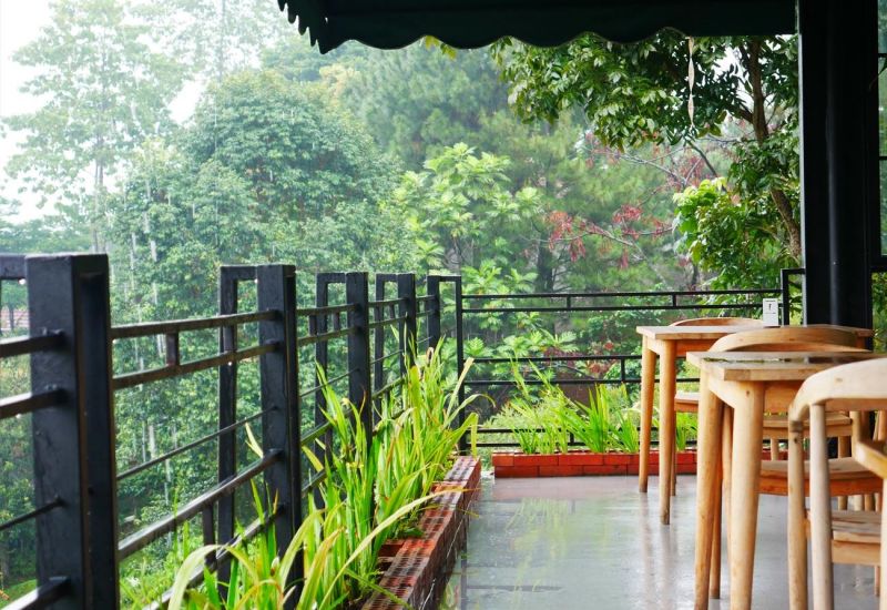 Foto : Honeyland( Jagoantravel.com )