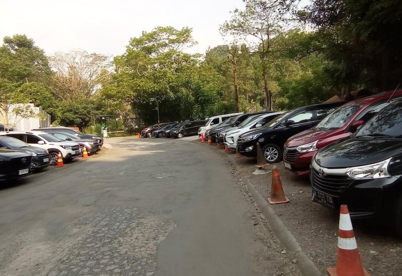 Foto: Kampung Daun ( Jagoantravel.com )