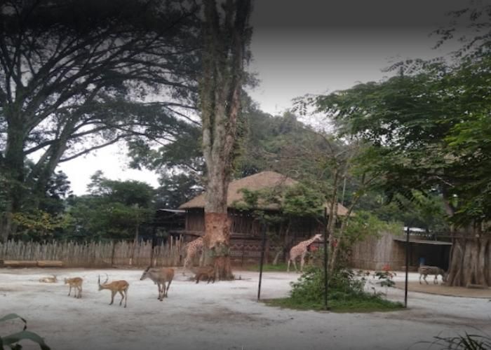 Foto: Kebun Binatang Bandung ( Gmap/ Risma Wanti )