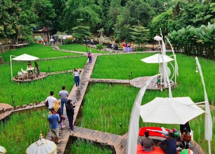 Foto : Kopi Tubing ( Gmap / Dawii Zhora )