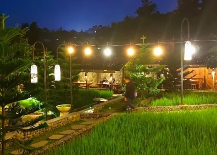 Foto : Ngopi Di Sawah ( Gmap / Himawan Sendjaya )