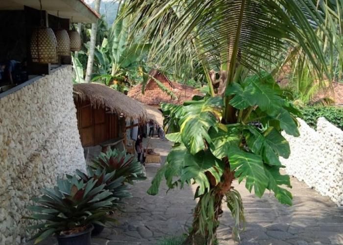 Foto : Ngopi Di Sawah ( Gmap / Niko Kumbokarno )