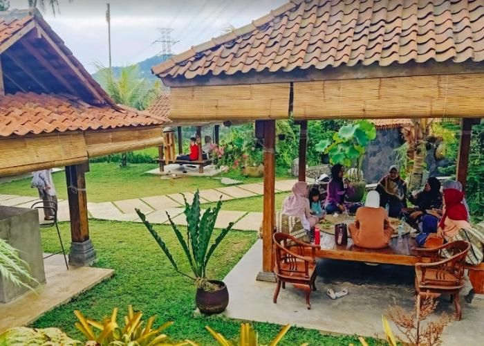 Foto : Ngopi Di Sawah ( Gmap / Timotius Wiyento )