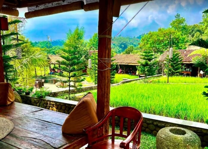 Foto : Ngopi Di Sawah ( Gmap / P S D )