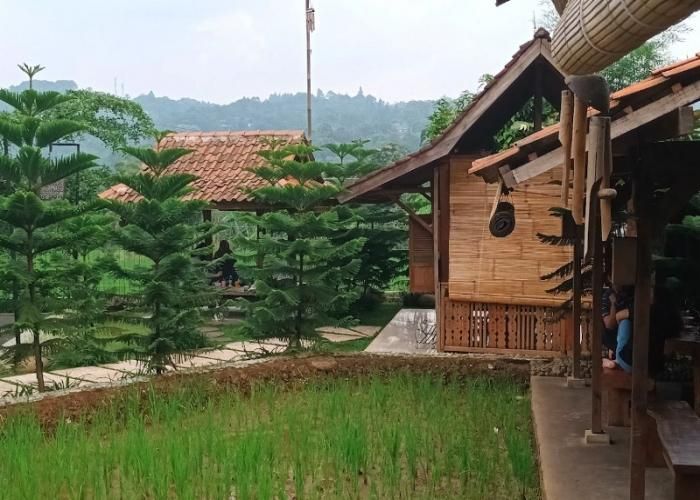 Foto : Ngopi Di Sawah ( Gmap / nissanie )