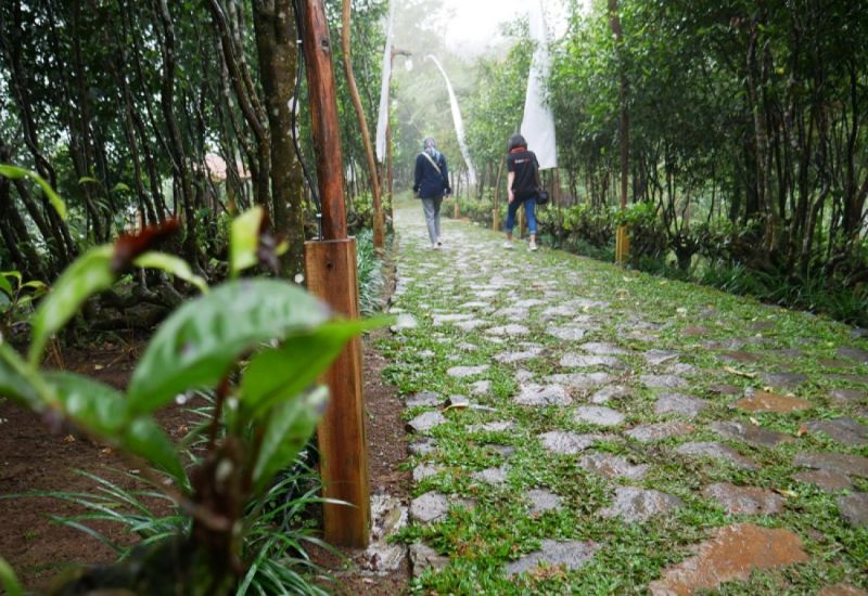 Foto: Pakis Hills Puncak ( Jagoantravel.com )