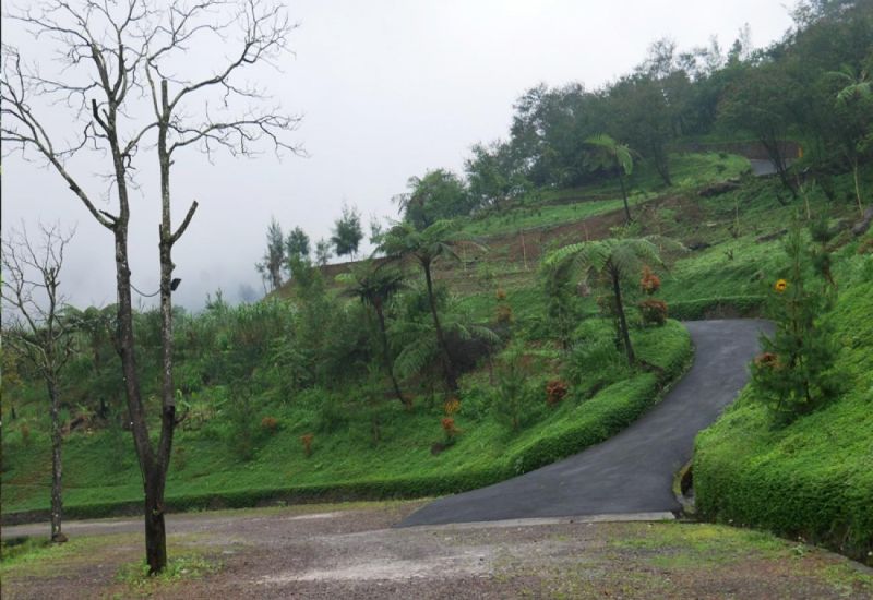 Foto: Pakis Hills Puncak ( Jagoantravel.com )