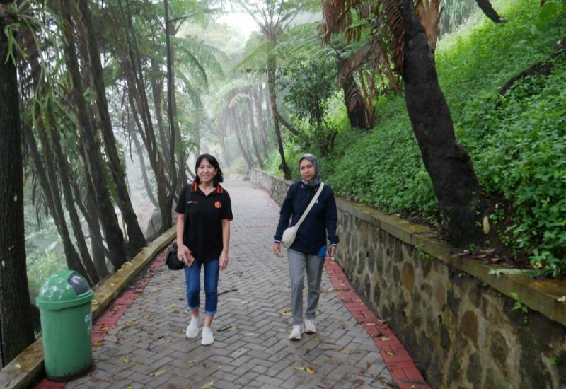 Foto: Pakis Hills Puncak ( Jagoantravel.com )