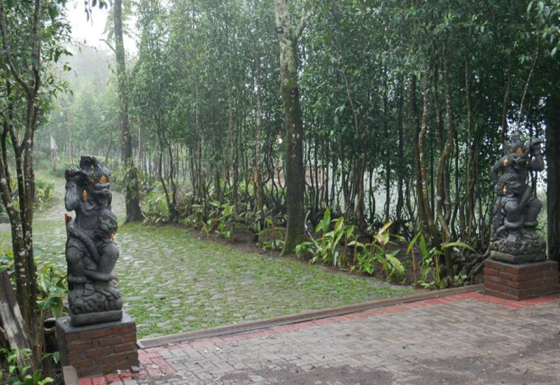 Foto: Pakis Hills Puncak ( Jagoantravel.com )