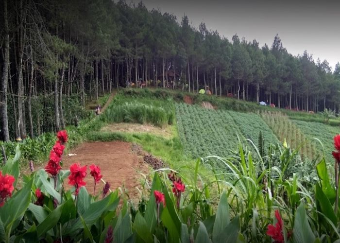 Puncak Bintang Bandung adalah salah satu destinasi wisata yang