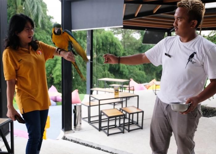 Foto : Umah Madu ( Jagoantravel.com )