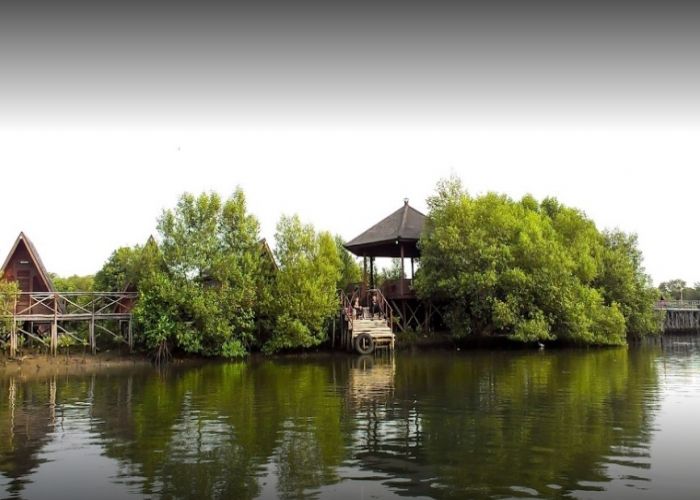Foto: Taman Wisata Alam Mangrove ( Gmap / Tambang Raras )